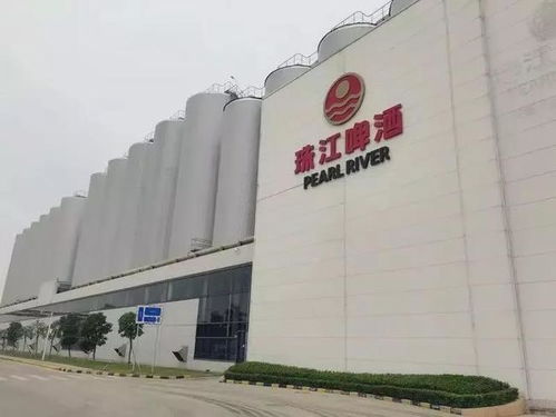 南沙崛起 廣州下一個琶醍，商務信息咨詢新機遇